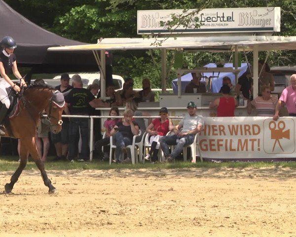 Reitturnier Heiligenwald 2021