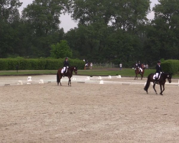 Reitturnier Münster-Handorf 2021