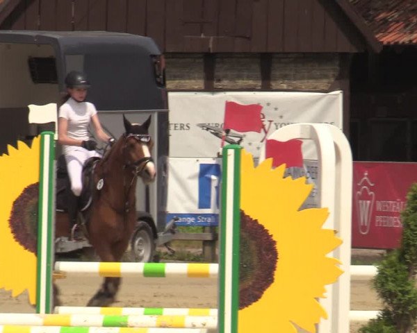 Reitturnier Münster-Handorf 2021
