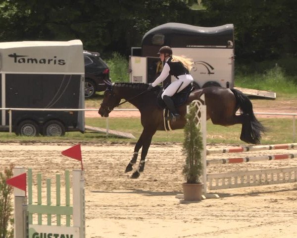 Reitturnier Heiligenwald 2021