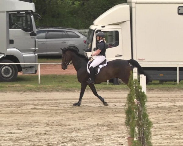 Reitturnier Heiligenwald 2021