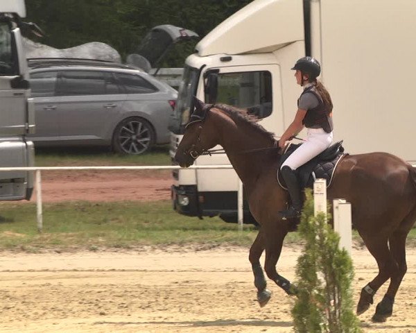 Reitturnier Heiligenwald 2021