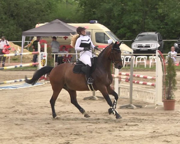 Reitturnier Heiligenwald 2021
