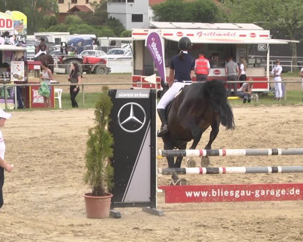 Reitturnier Heiligenwald 2021