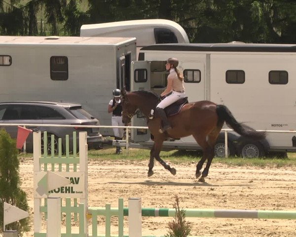 Reitturnier Heiligenwald 2021