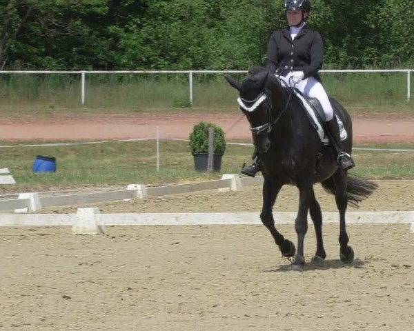 Reitturnier Heiligenwald 2021
