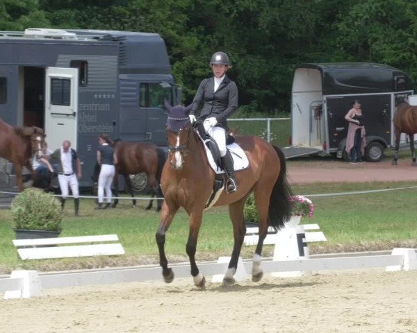 Reitturnier Heiligenwald 2021