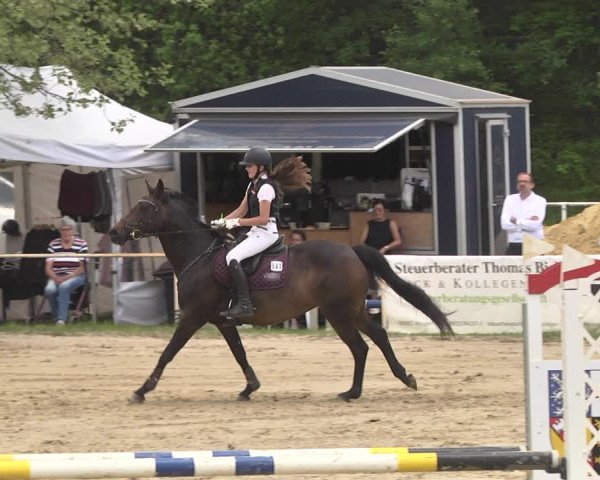 Reitturnier Heiligenwald 2021