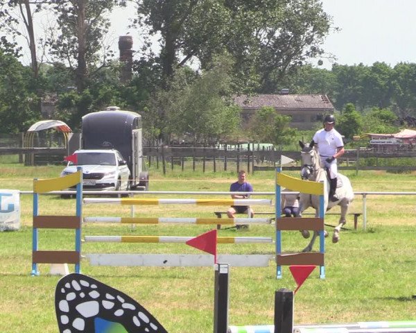 Reitturnier Großwoltersdorf 2021