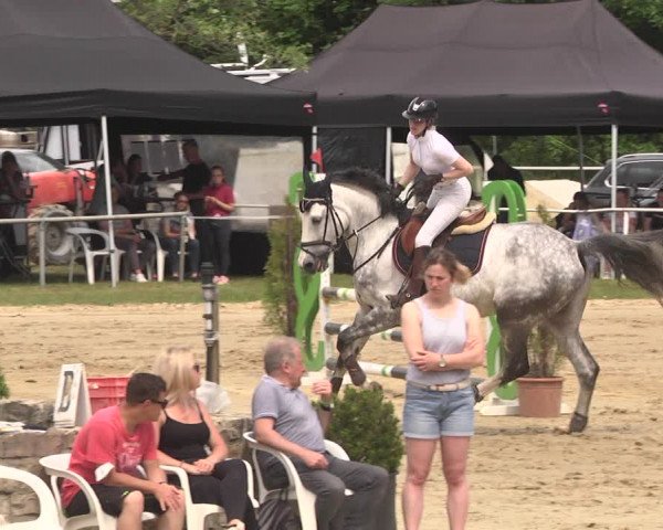 Reitturnier Heiligenwald 2021