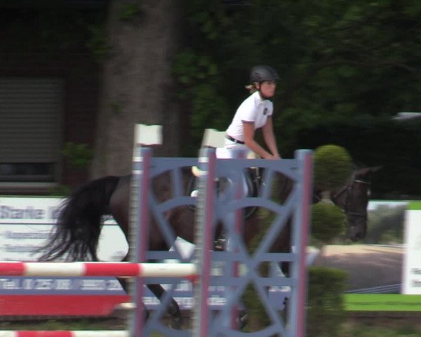 Reitturnier Münster-Handorf 2021