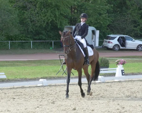 Reitturnier Heiligenwald 2021