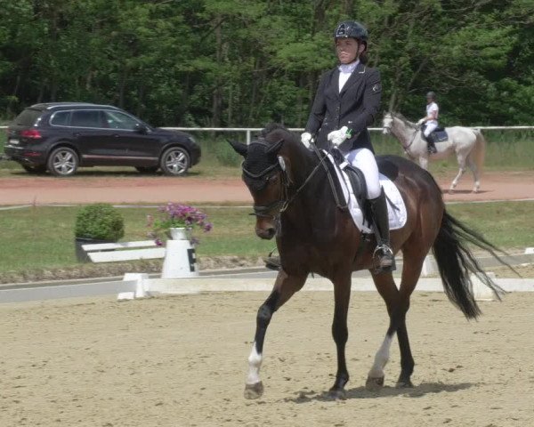 Reitturnier Heiligenwald 2021