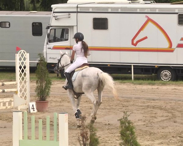 Reitturnier Heiligenwald 2021
