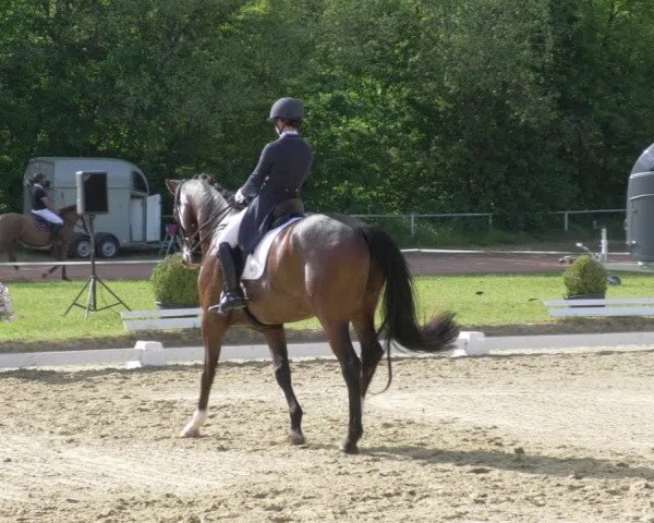 Reitturnier Heiligenwald 2021