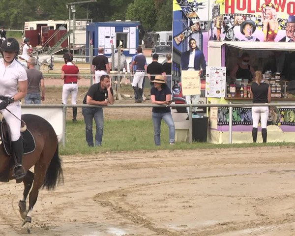 Reitturnier Heiligenwald 2021