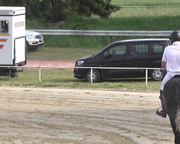 Reitturnier Heiligenwald 2021