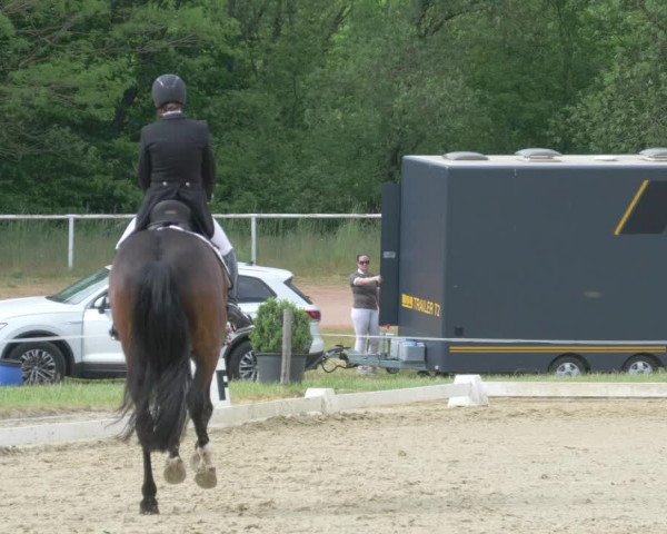 Reitturnier Heiligenwald 2021