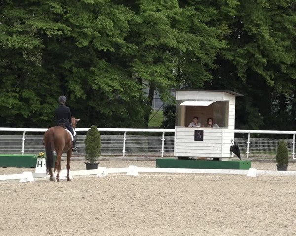 Reitturnier Dielsdorf, Horsepark 2021