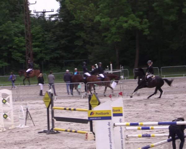 Reitturnier Prussendorf 2021