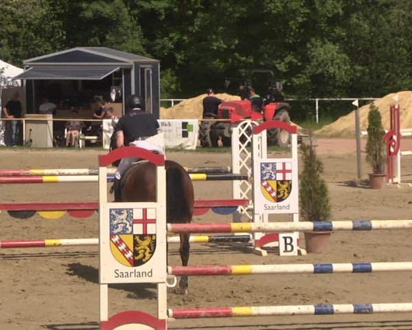 Reitturnier Heiligenwald 2021