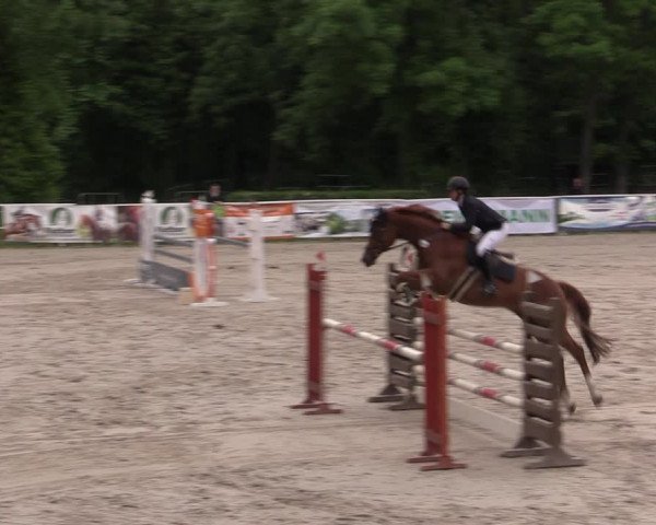 Reitturnier Prussendorf 2021