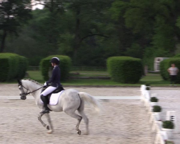 Reitturnier Münster-Handorf 2021