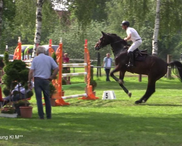 Reitturnier Hille 2021
