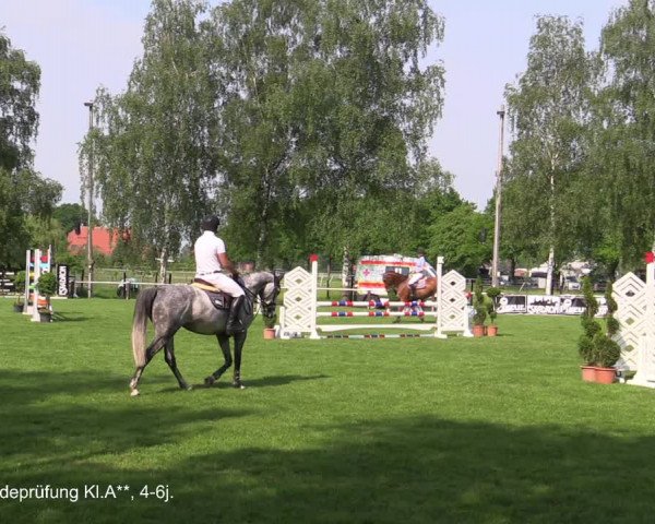 Reitturnier Hille 2021