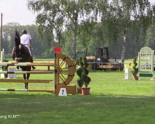 Reitturnier Hille 2021