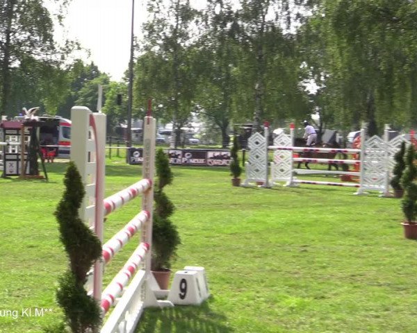 Reitturnier Hille 2021
