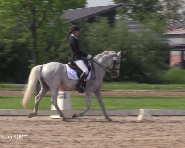 Reitturnier Hille 2021