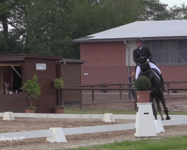 Reitturnier Hille 2021