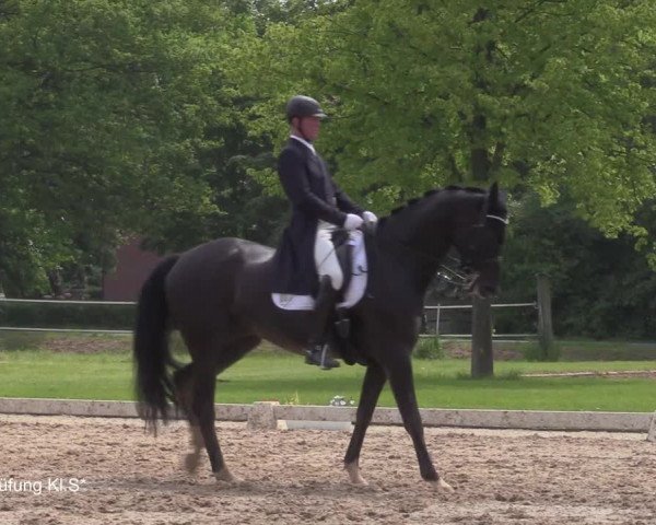 Reitturnier Hille 2021