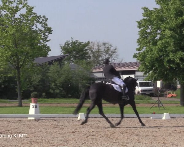 Reitturnier Hille 2021