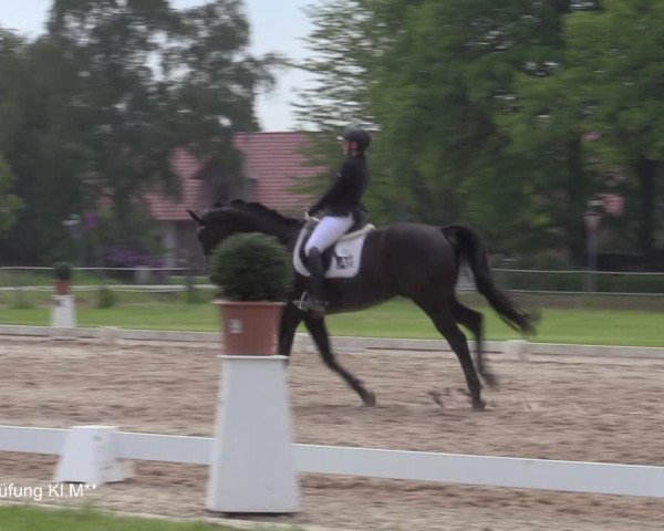 Reitturnier Hille 2021