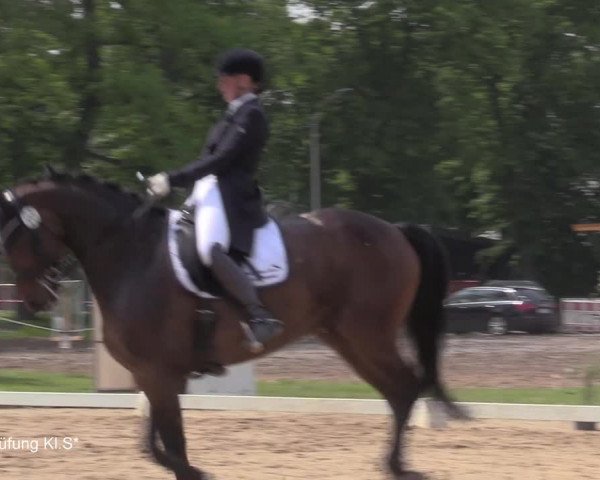 Reitturnier Hille 2021