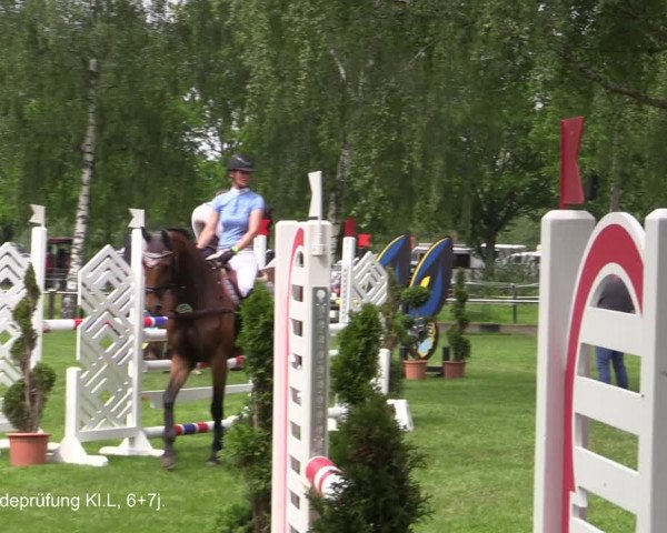 Reitturnier Hille 2021