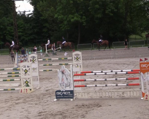 Reitturnier Prussendorf 2021