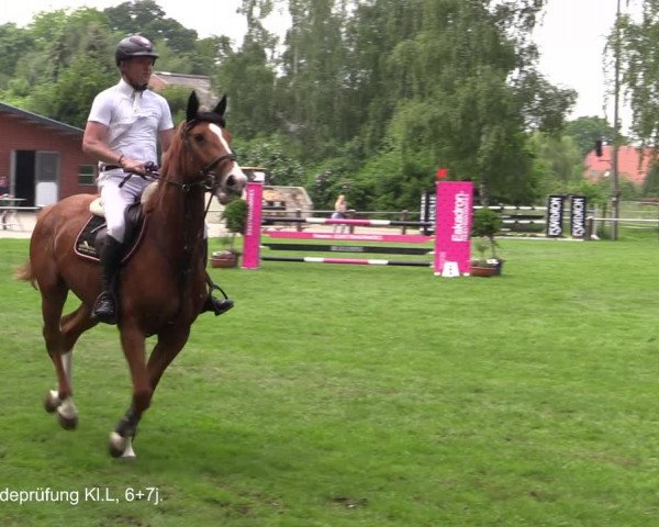 Reitturnier Hille 2021