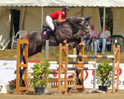 Springpferd G Star de Muze (Belgisches Warmblut, 2006, von Canturo)