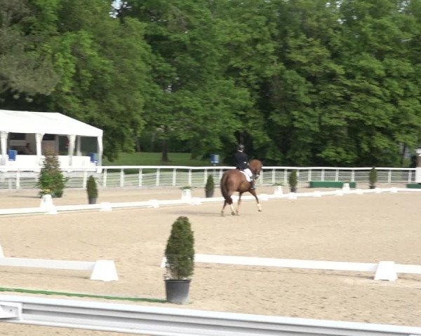 Reitturnier Dielsdorf, Horsepark 2021