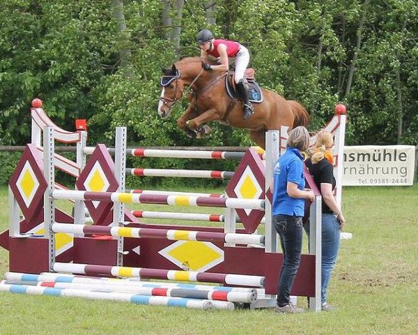 jumper Francesco 65 (Bavarian, 2004, from Fighting Alpha)