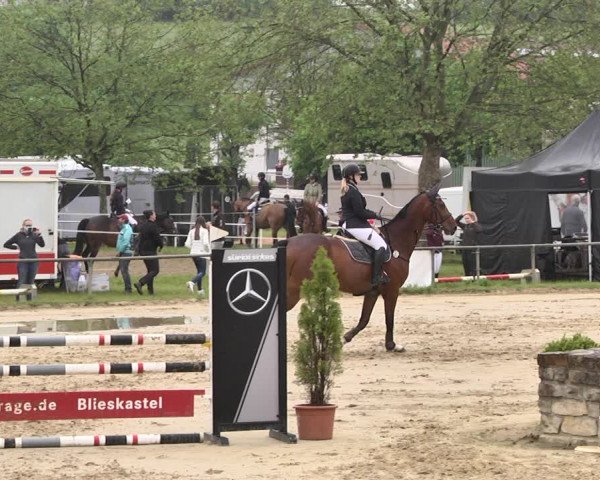 Reitturnier Heiligenwald 2021