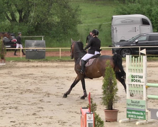 Reitturnier Heiligenwald 2021