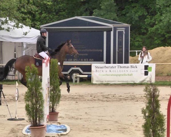 Reitturnier Heiligenwald 2021
