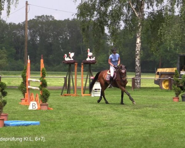 Reitturnier Hille 2021
