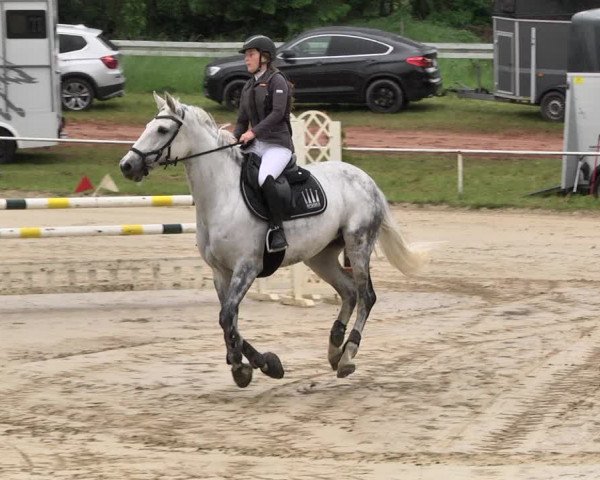Reitturnier Heiligenwald 2021