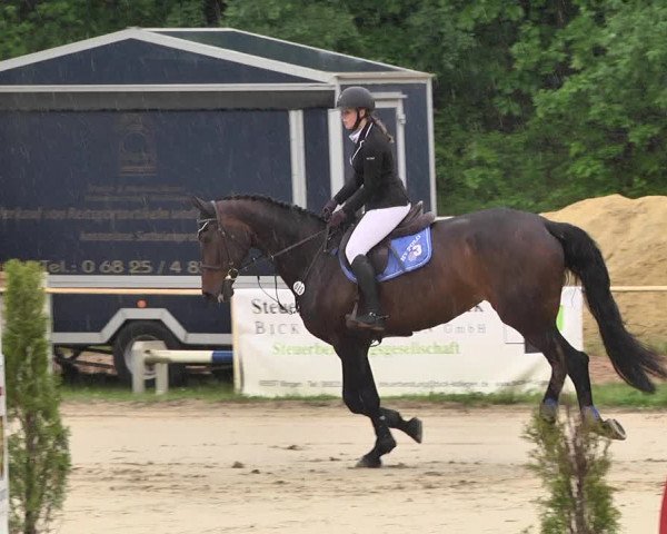 Reitturnier Heiligenwald 2021
