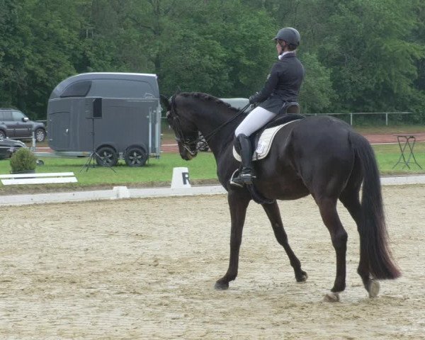Reitturnier Heiligenwald 2021